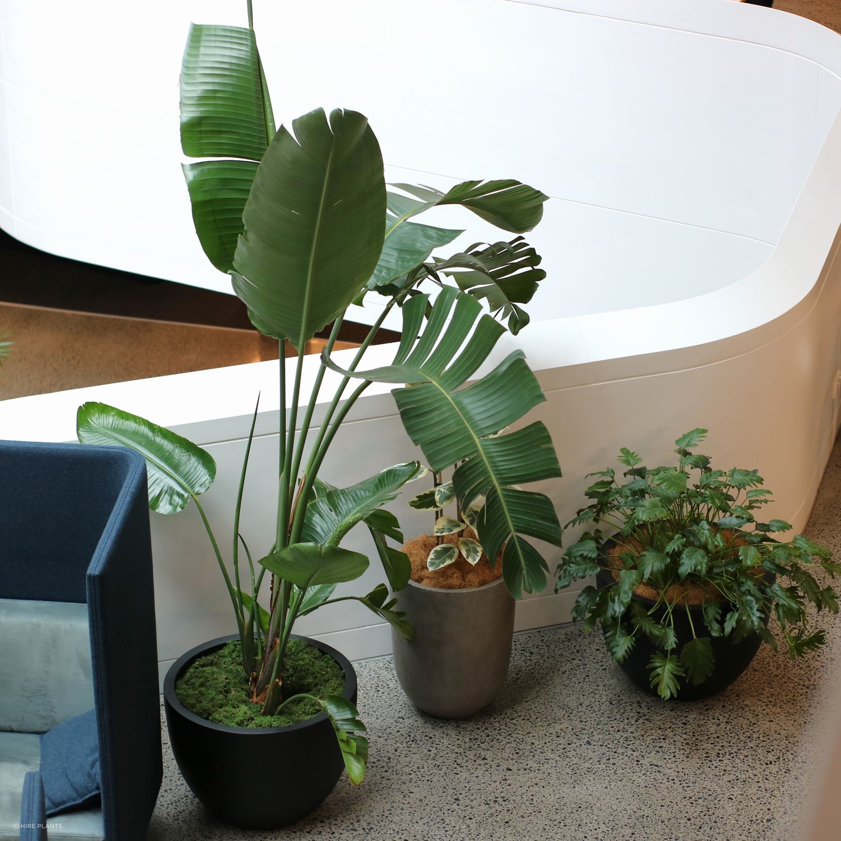 Long Term Plant Hire - Indoor gallery detail image