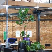 Long Term Plant Hire - Indoor gallery detail image