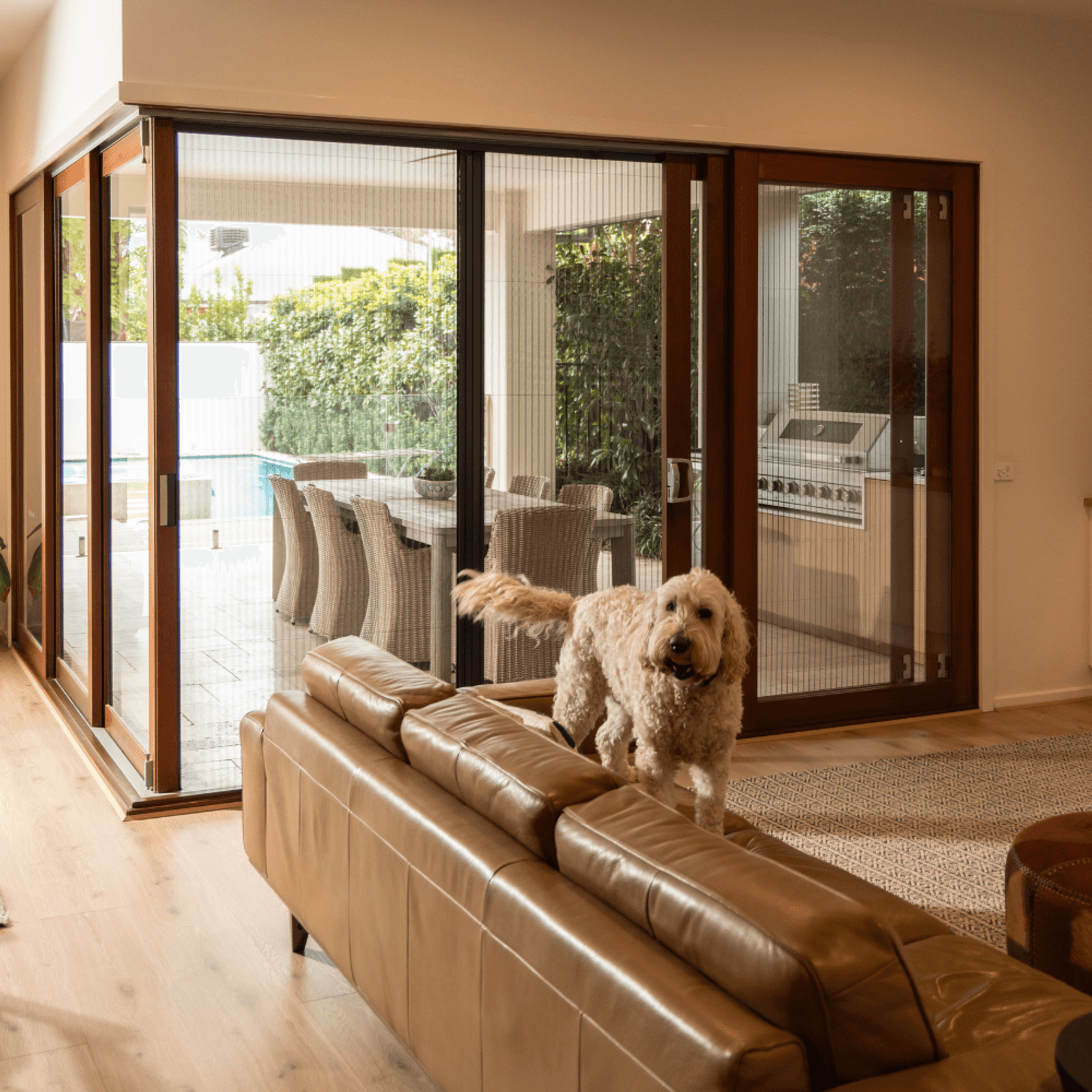 ViewTek Fly Screens for Doors gallery detail image