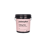 Ceiling Flat gallery detail image