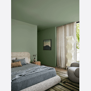 Dulux Te Aroha Paint, Greens gallery detail image