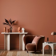 Dulux Clay Court Paint gallery detail image