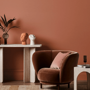 Dulux Clay Court Paint gallery detail image