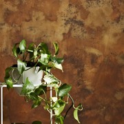 Design Rust Effect gallery detail image
