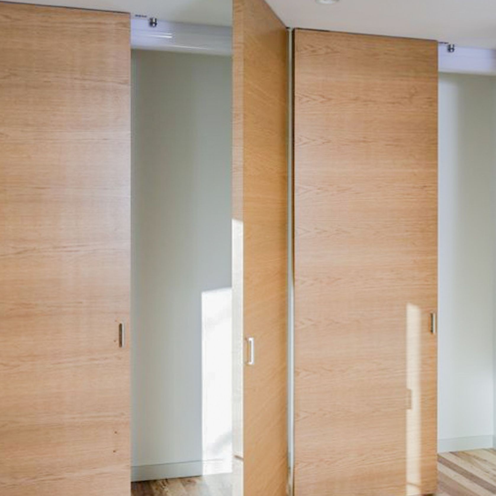 Internal Pivotica Hinge Swing Door gallery detail image