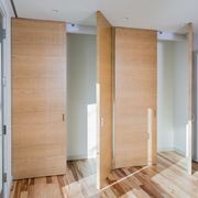 Internal Pivotica Hinge Swing Door gallery detail image