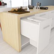 Tanova Designer Series 2 Pull Out Kitchen Bin gallery detail image