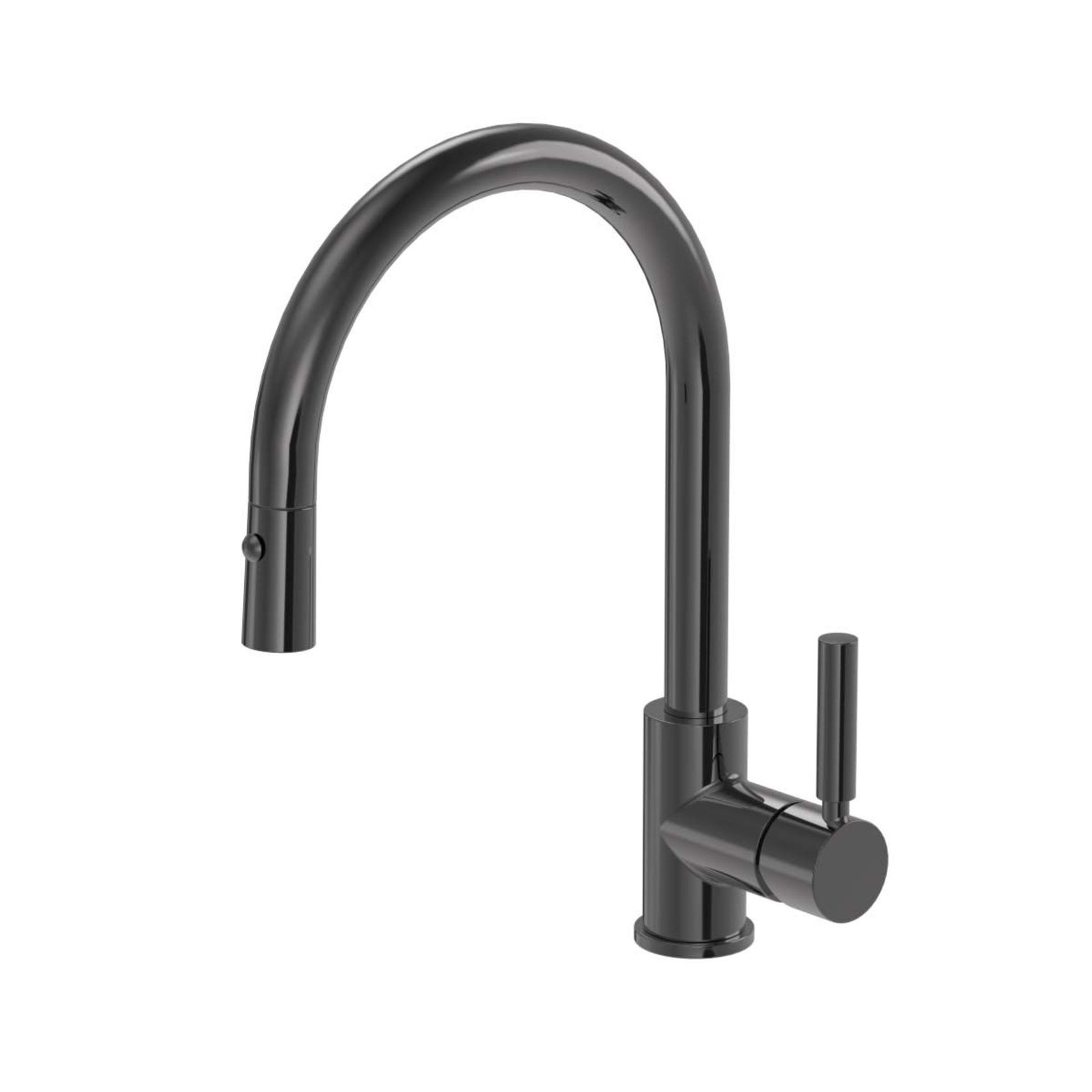 Buddy Pro Kitchen Mixer Round Spout With Pull Out Spray gallery detail image
