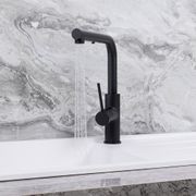 Nisa Square Pull Out Mixer Matte Black gallery detail image