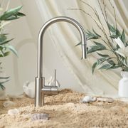 Mira Brushed Nickel Pull Out Mixer gallery detail image
