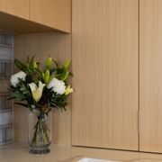 Bestwood Evoake™ Veneer Interior Panels gallery detail image