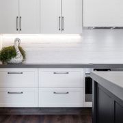 Platinum White l Durostyle Doors gallery detail image