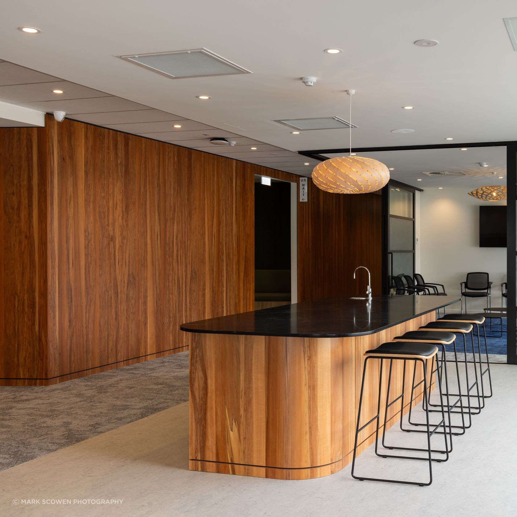 Prime Toitū Veneer Interior Panels gallery detail image