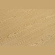 NAVENEER™ gallery detail image