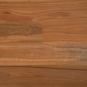 EP152  Australian Spotted Gum 180 gallery detail image