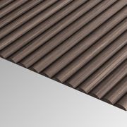 HW230602T American Walnut Costato W6M20 Sheet gallery detail image