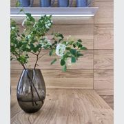 Classic FS Laminate Kitchen Cabinetry gallery detail image