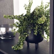 Classic FS Lacquered Kitchen Cabinetry gallery detail image