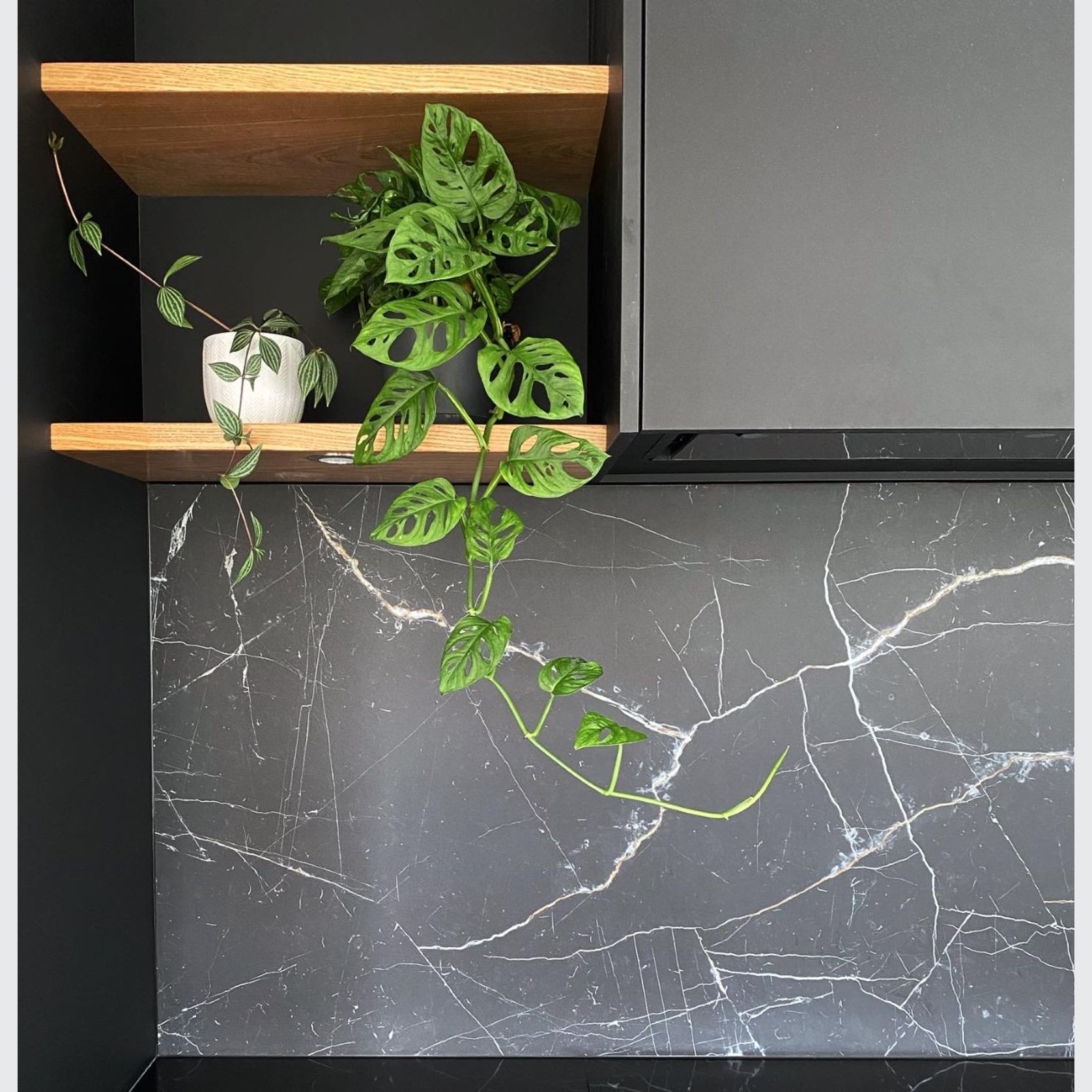 Perfect Matte Black Melaboard MDF gallery detail image