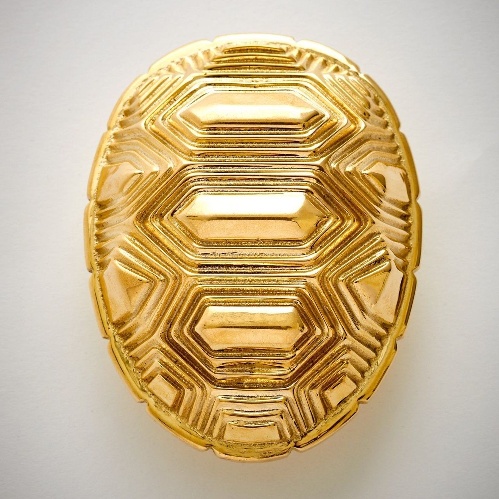 TORTOISE - TS gallery detail image