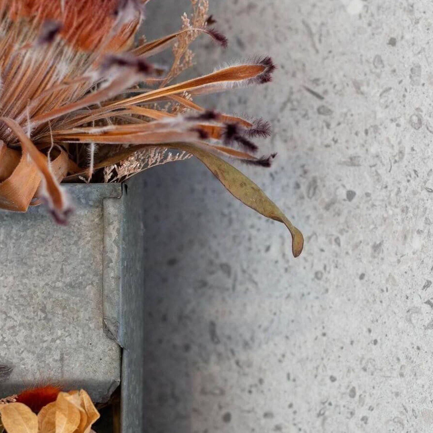 Terrace Pearl by Laminex | Laminate Benchtop gallery detail image