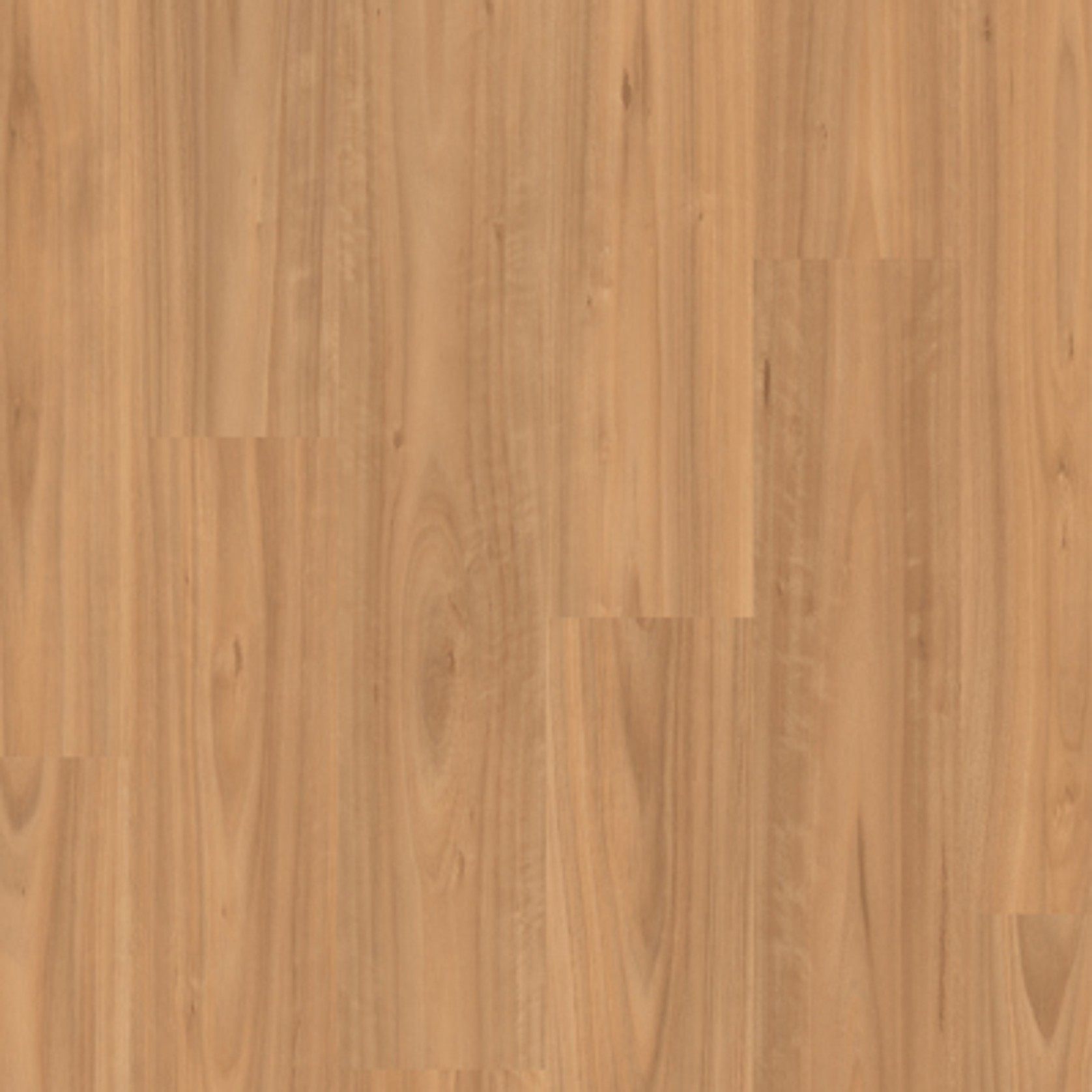 Quickstep Classic 8mm gallery detail image