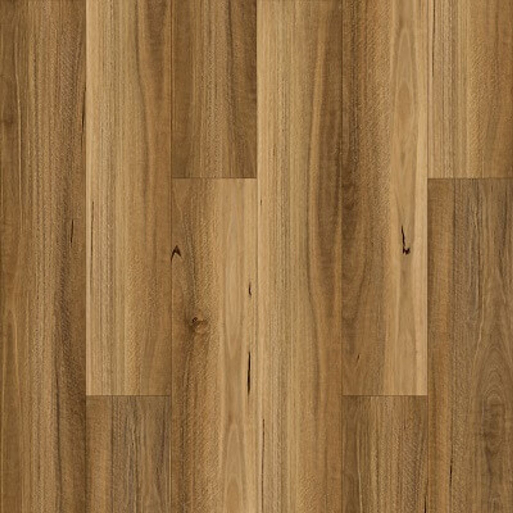 Ibrido gallery detail image