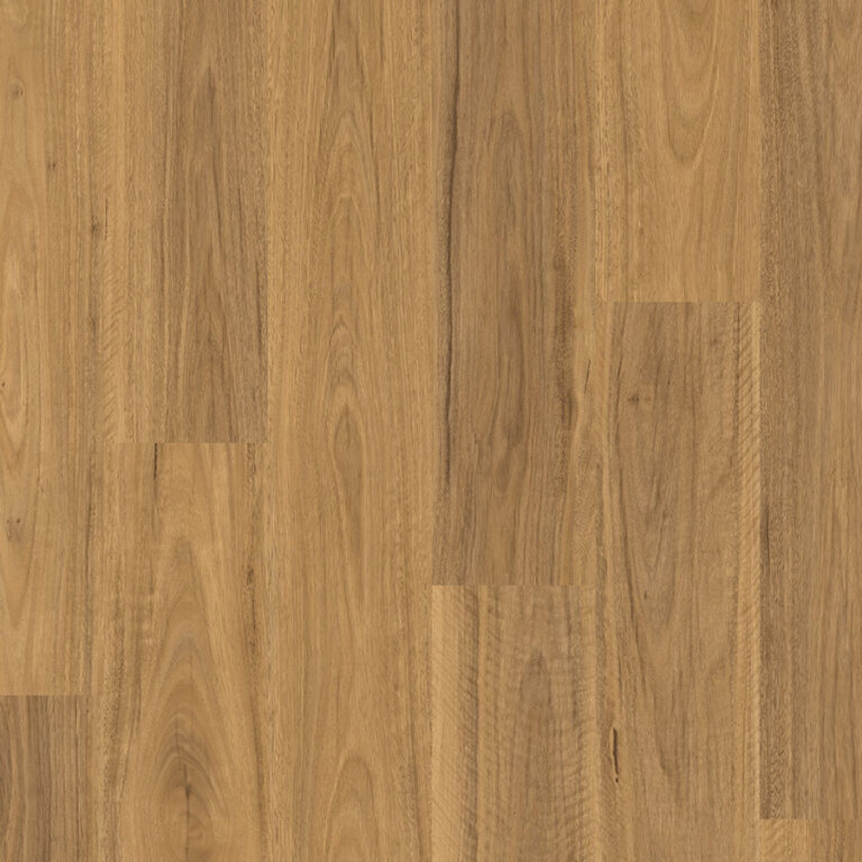 Quickstep Classic 8mm gallery detail image