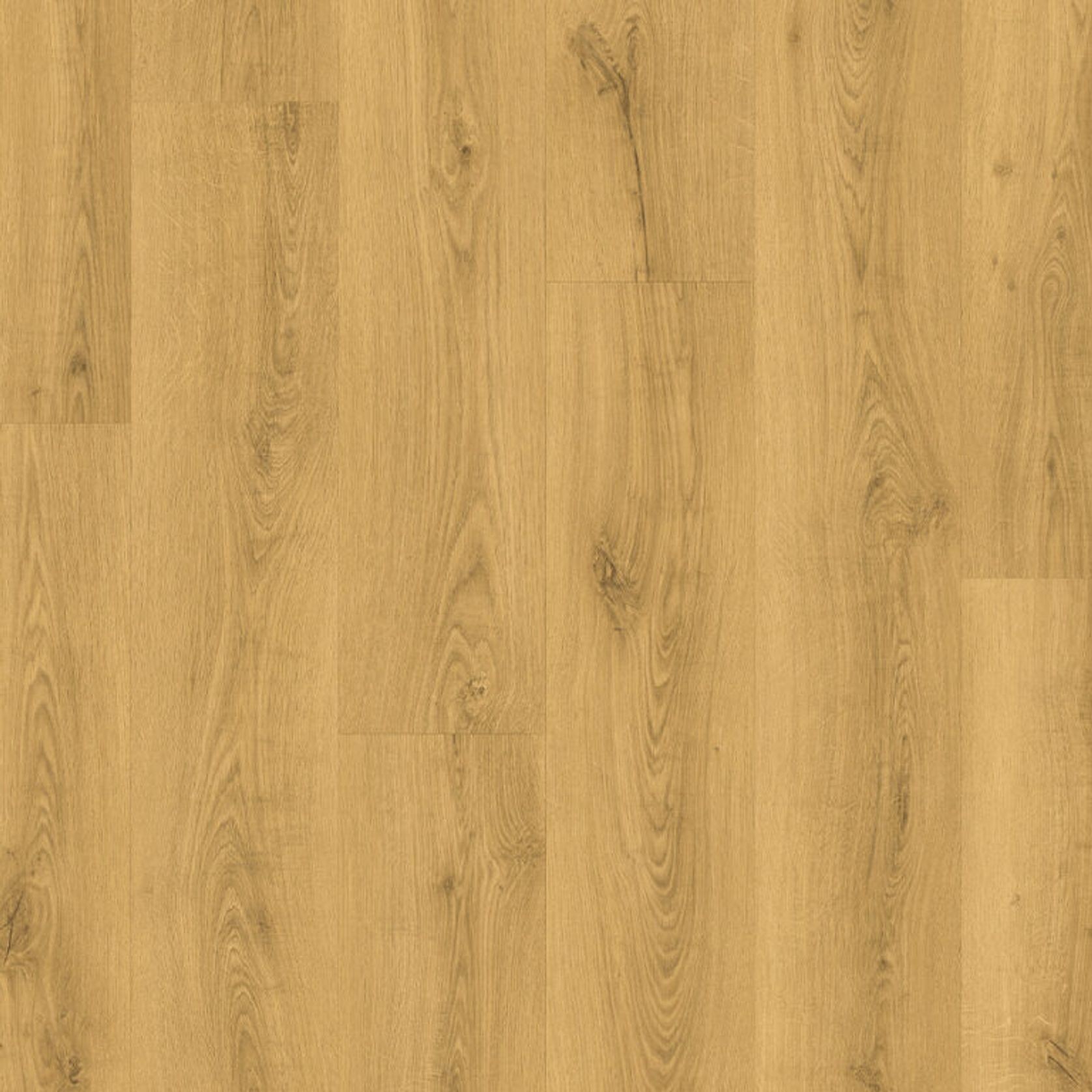 Quickstep Classic 8mm gallery detail image