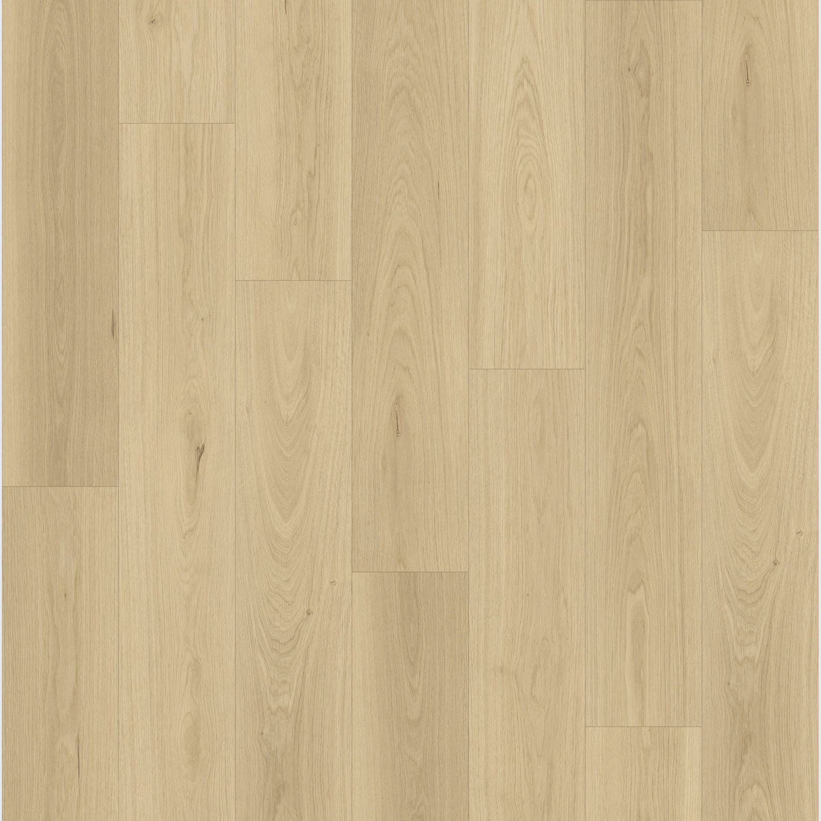 Queenstown 1.2 | Kingston gallery detail image