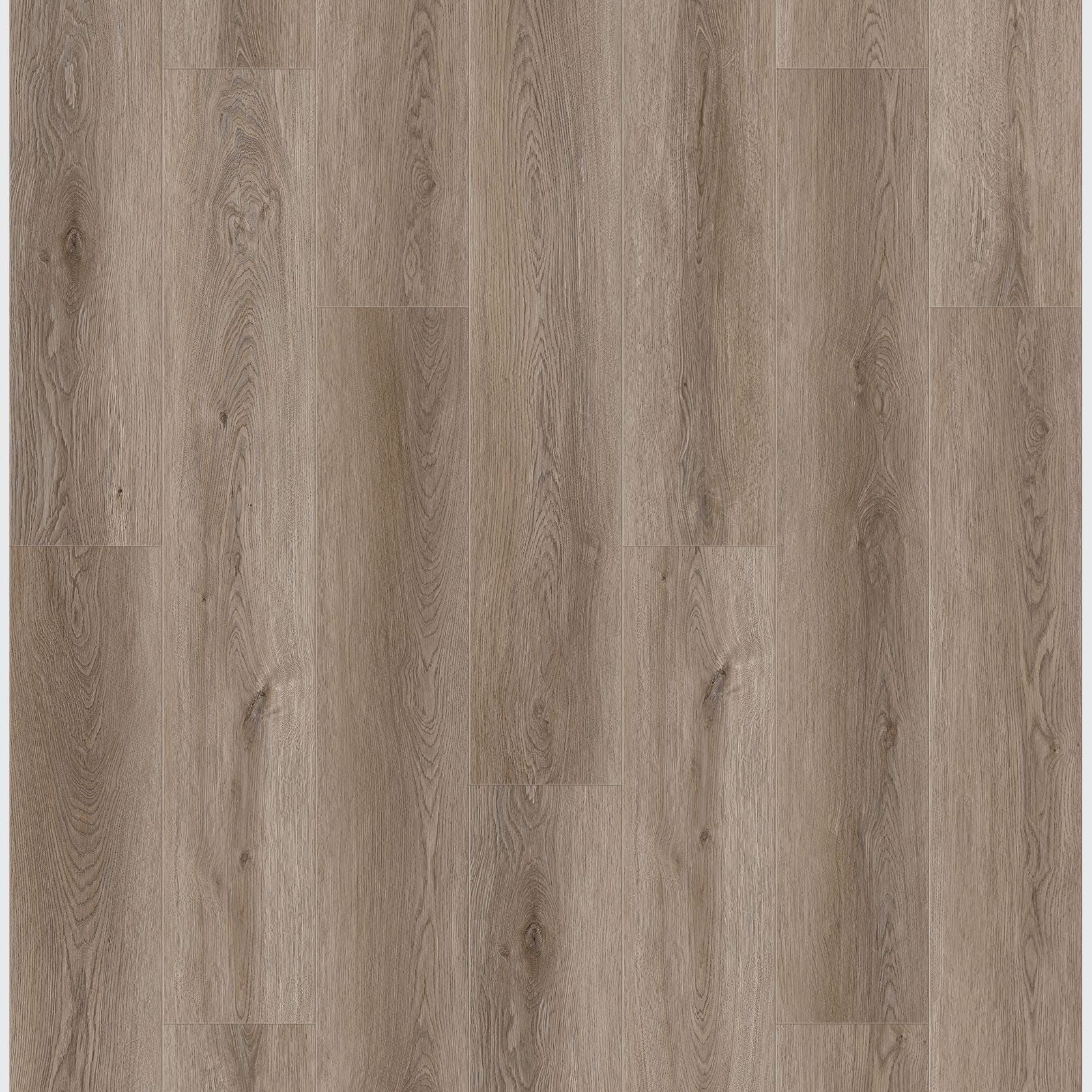 Queenstown 1.2 | Wellington gallery detail image