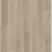 Queenstown 1.2 | Arrowtown gallery detail image