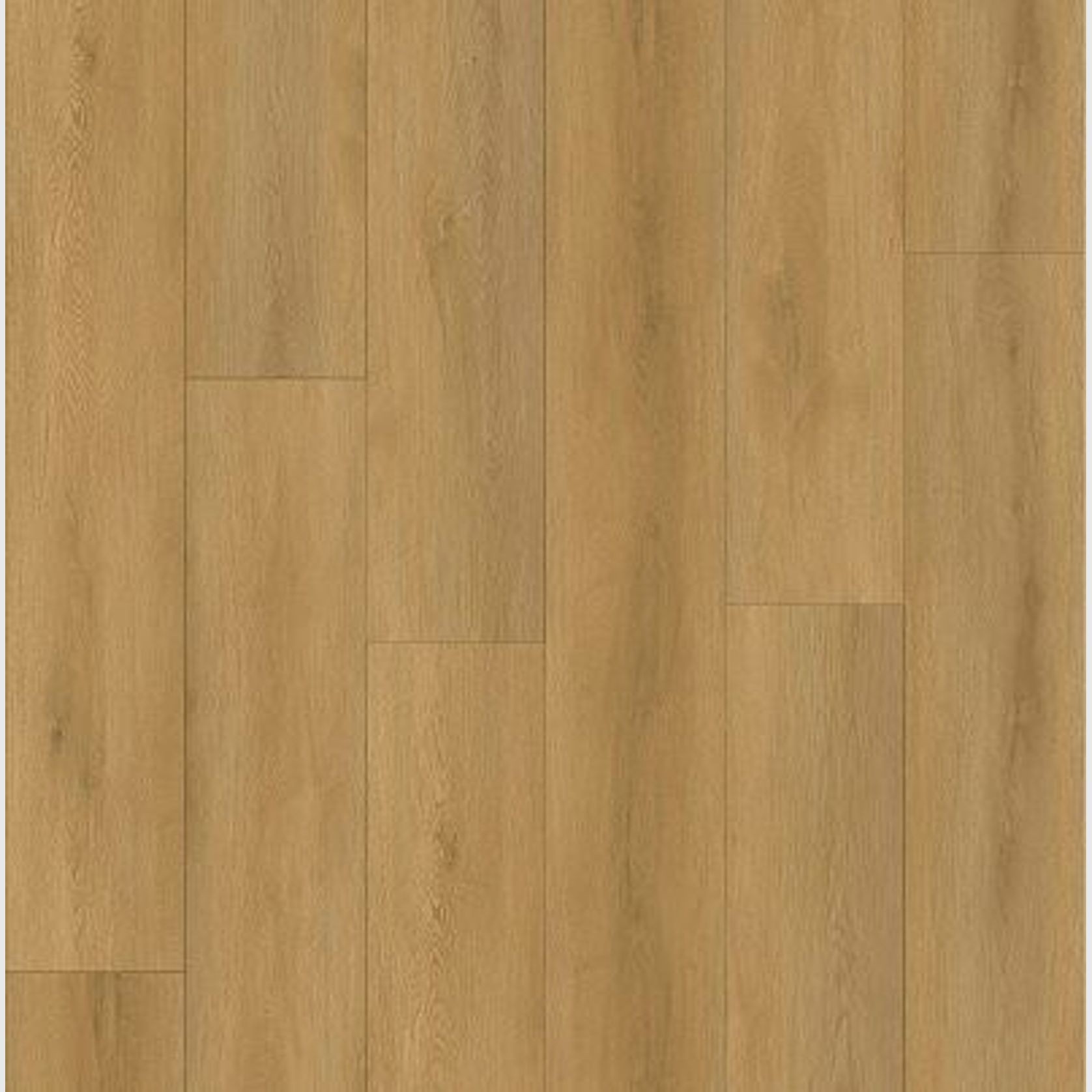 Odyssey gallery detail image