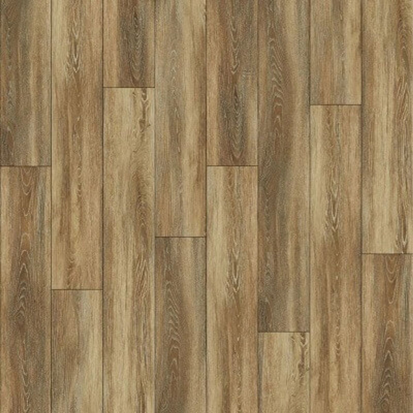 Ibrido gallery detail image