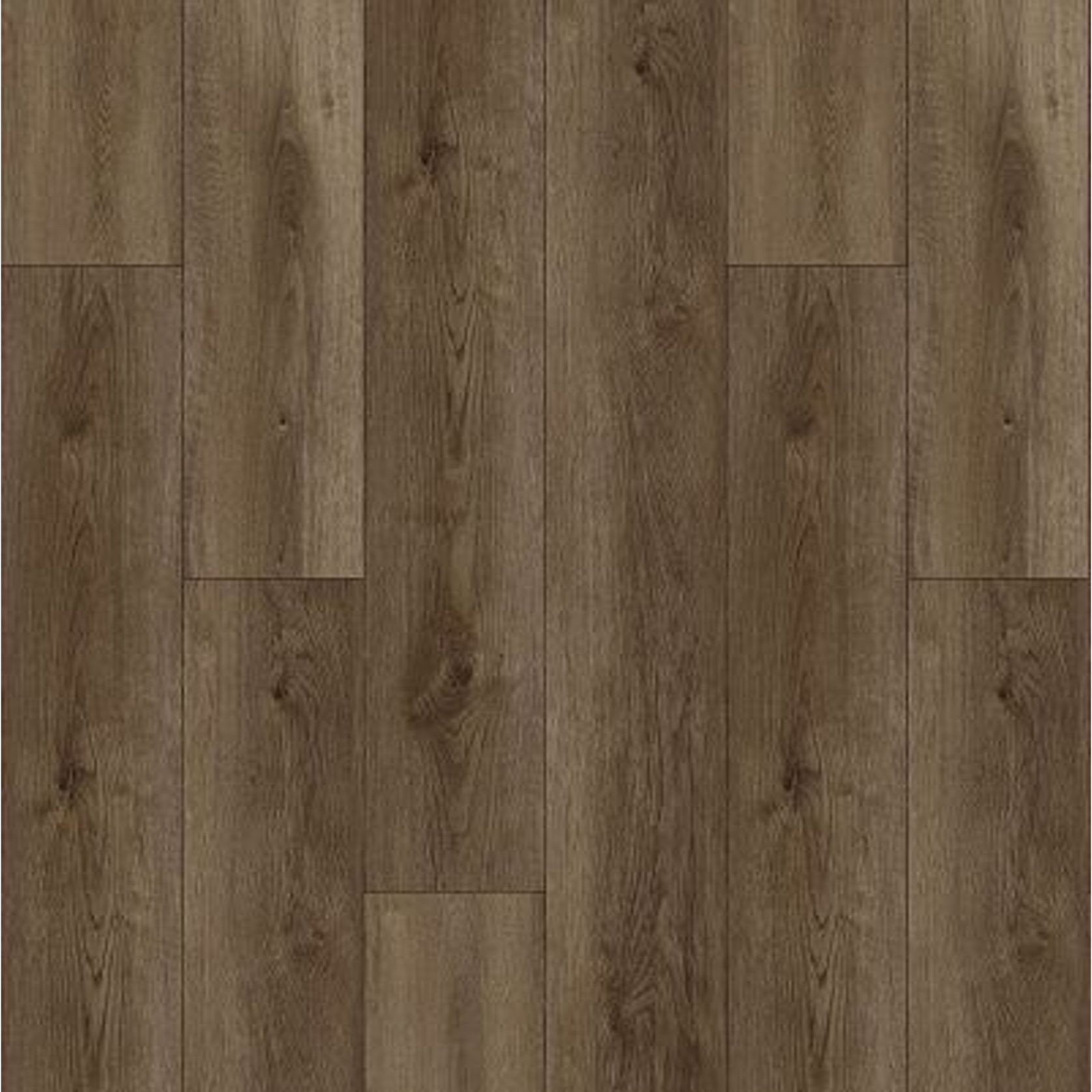 Odyssey gallery detail image