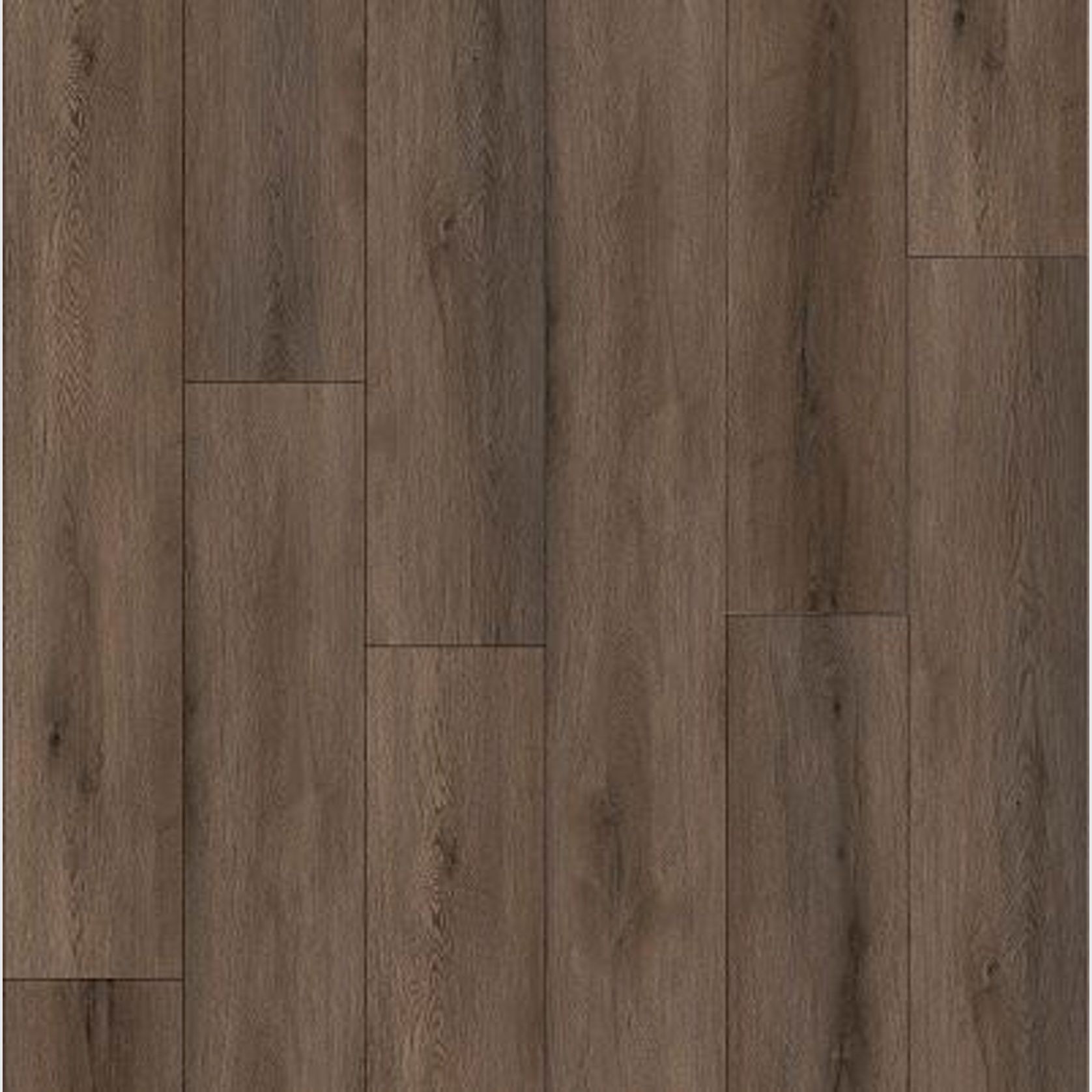 Odyssey gallery detail image