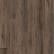 Odyssey gallery detail image