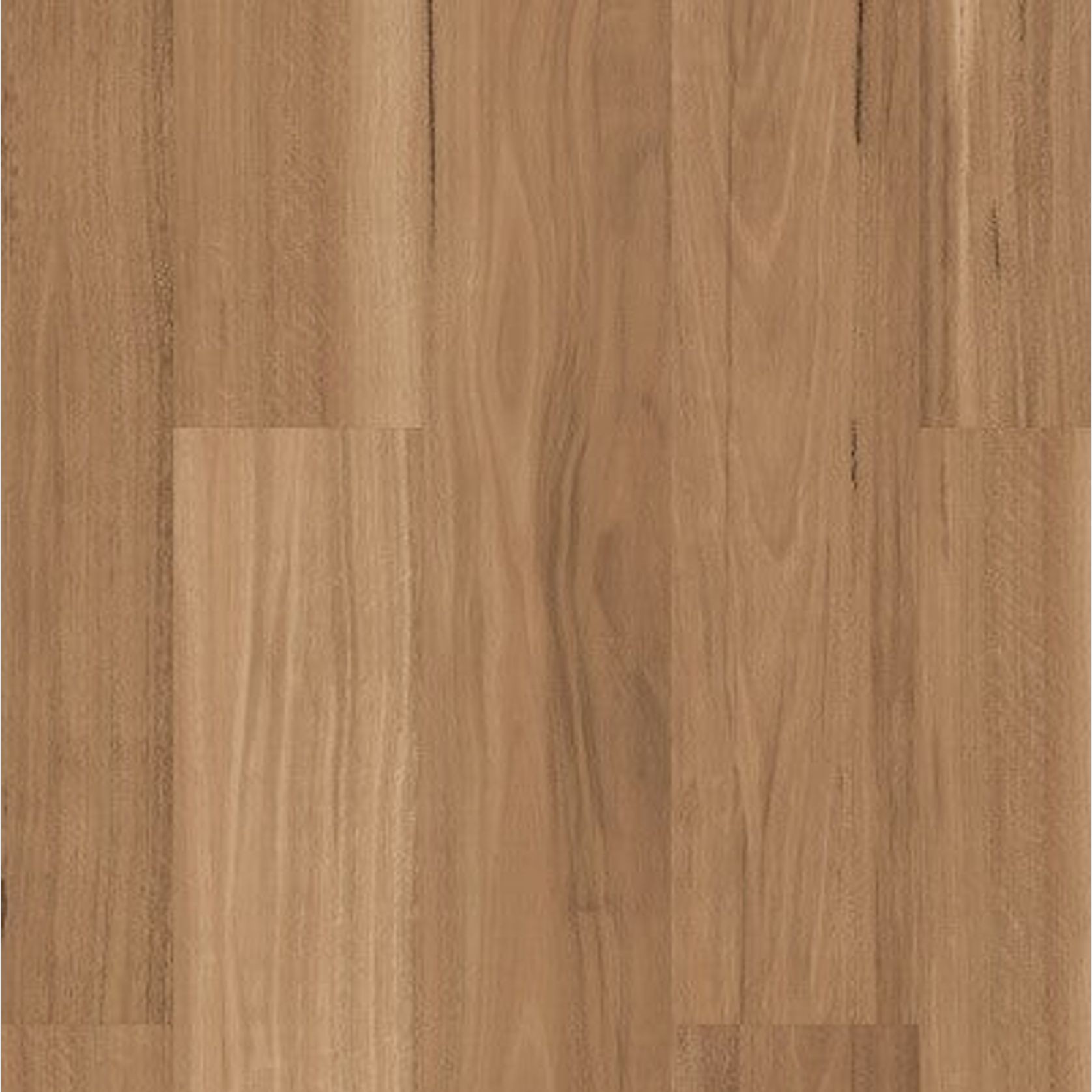 Korlok gallery detail image