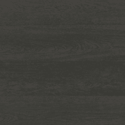 Shield | Everlast gallery detail image