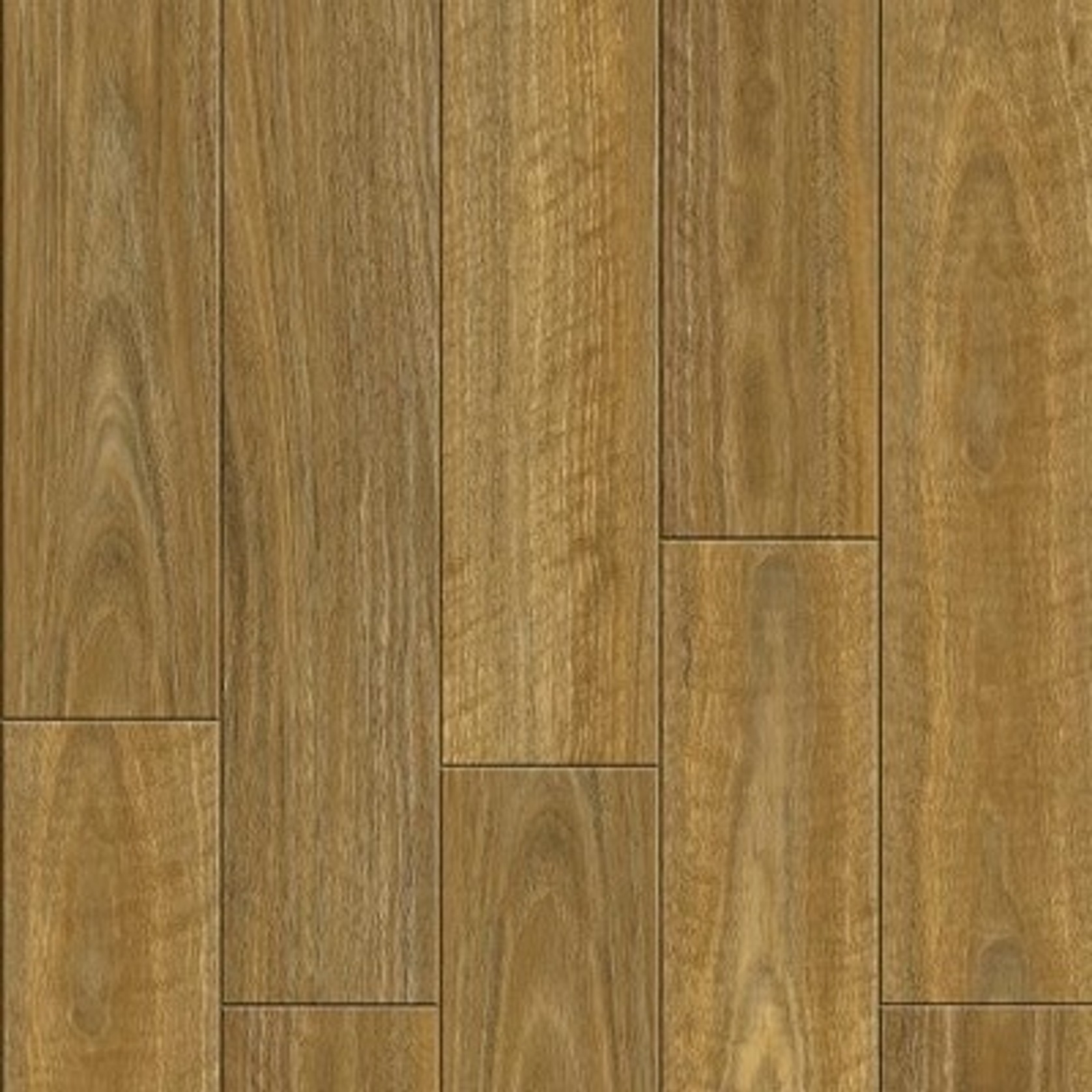 Ibrido gallery detail image