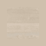 Shield | Everlast gallery detail image