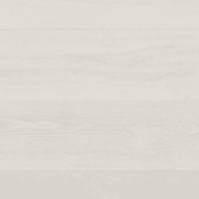 Shield | Everlast gallery detail image