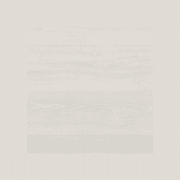 Shield | Everlast gallery detail image