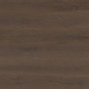 Shield | Everlast gallery detail image