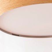 Yolk gallery detail image