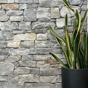 Ledge Stone Kingston Wall Cladding gallery detail image