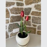 Ledge Stone Savannah Wall Cladding gallery detail image