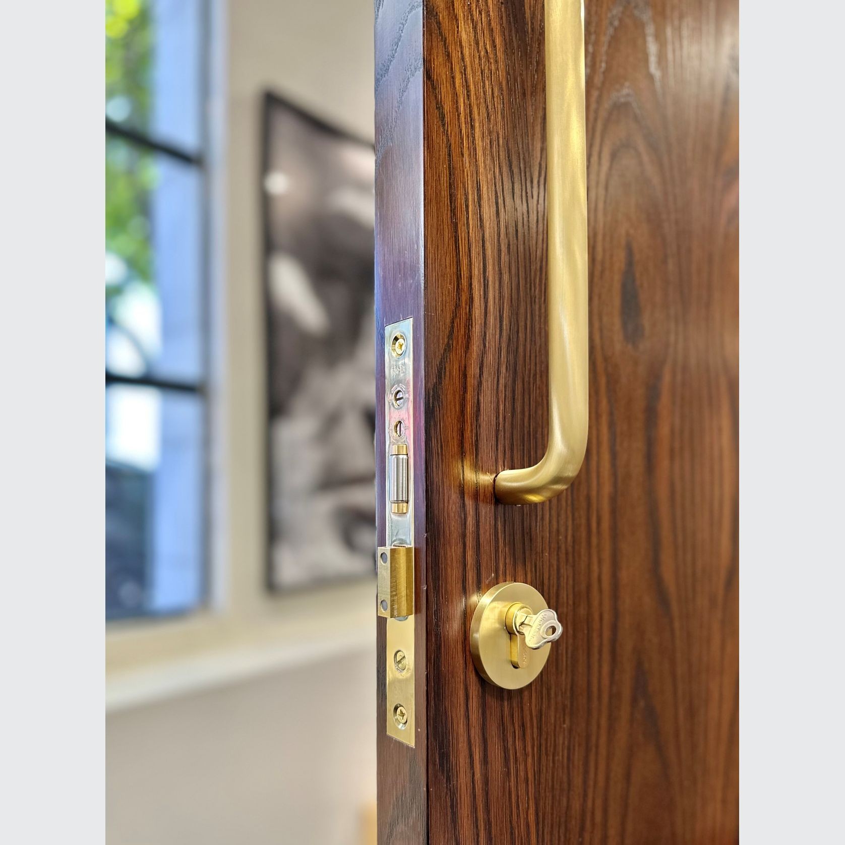 HB2050 High Security Roller Ball Euro Lock gallery detail image