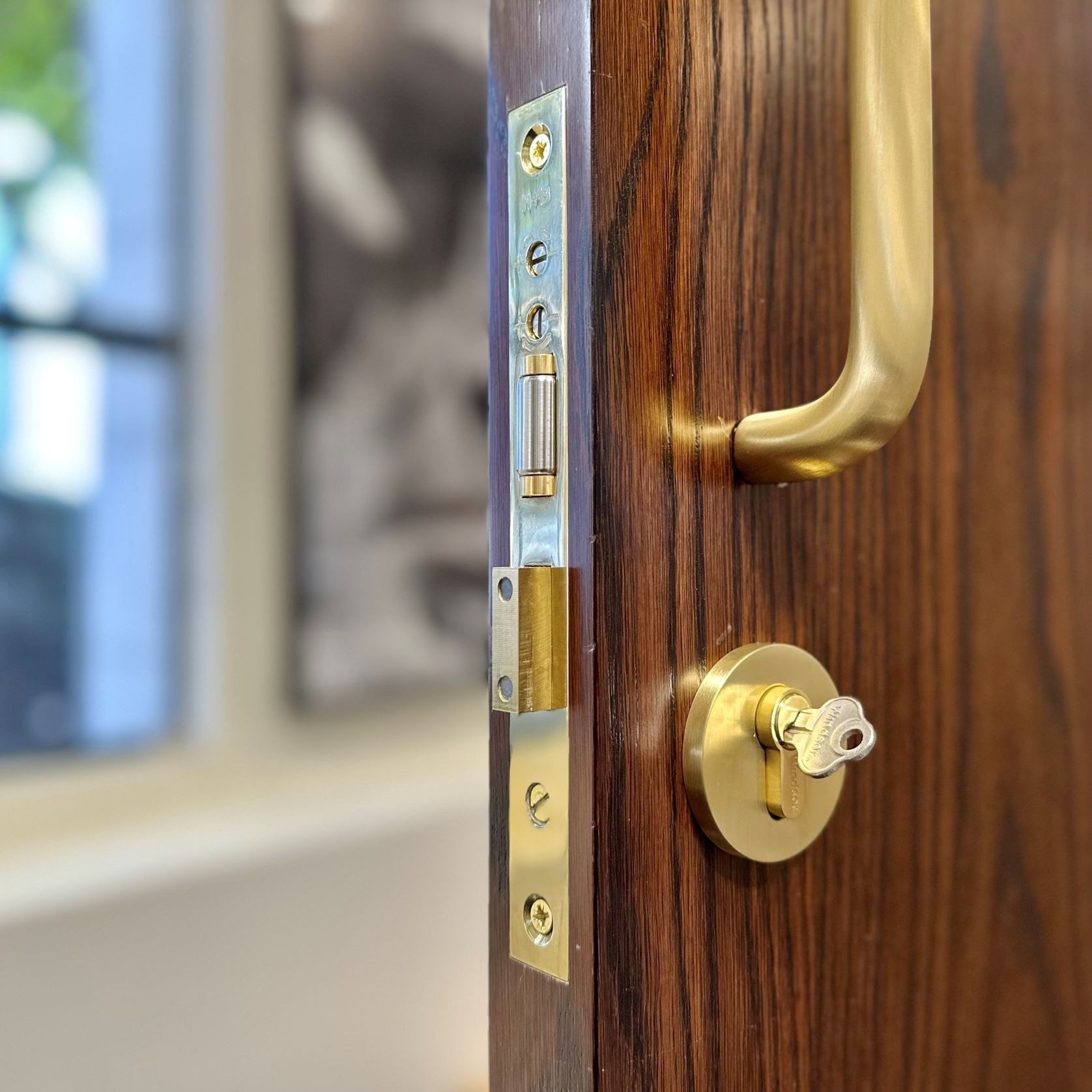 HB2050 Adjustable High Security Roller Ball Euro Lock gallery detail image