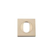 Oval Door Escutcheon gallery detail image